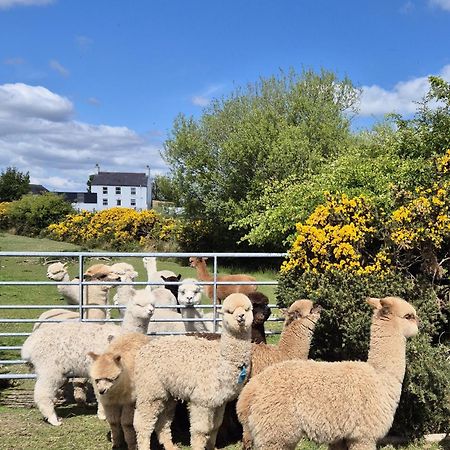 The Alpaca Farmhouse With Hot Tub And Alpaca Experience Included Dromara Dış mekan fotoğraf