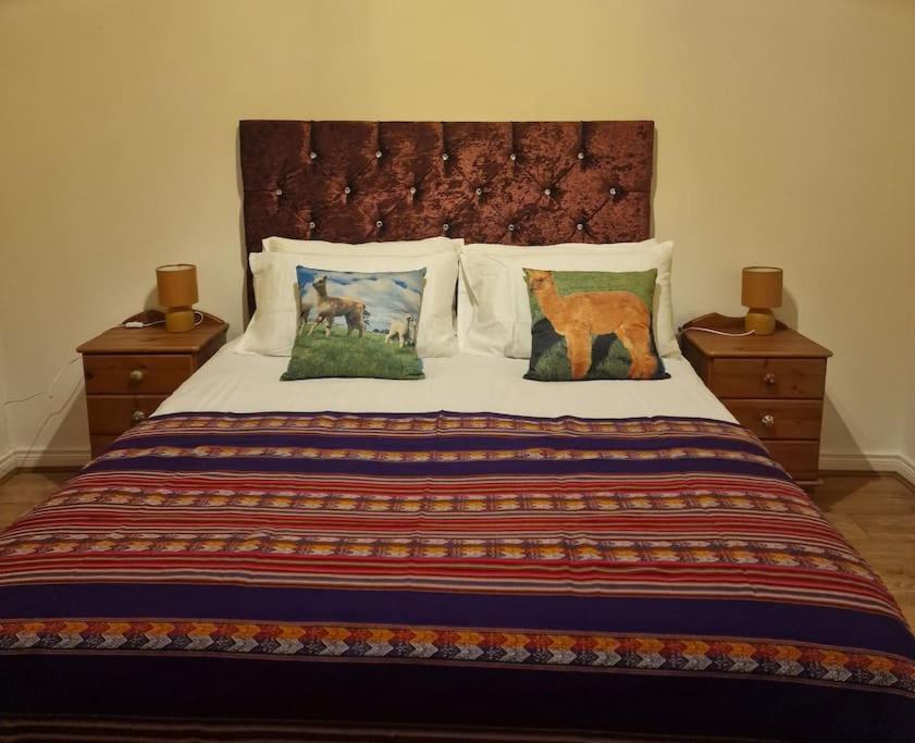 The Alpaca Farmhouse With Hot Tub And Alpaca Experience Included Dromara Dış mekan fotoğraf