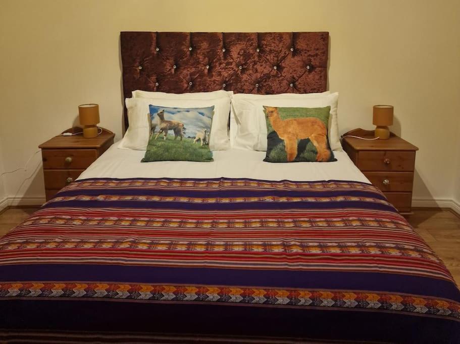 The Alpaca Farmhouse With Hot Tub And Alpaca Experience Included Dromara Dış mekan fotoğraf